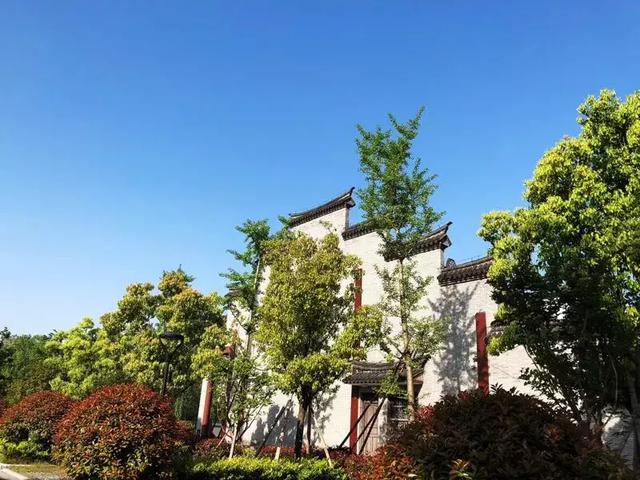 二審期間取得建設工程規(guī)劃許可證，仍可判施工合同有效！